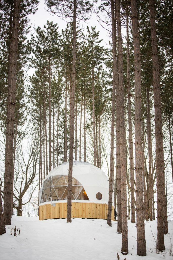 Geodesic glamping dome in forest
