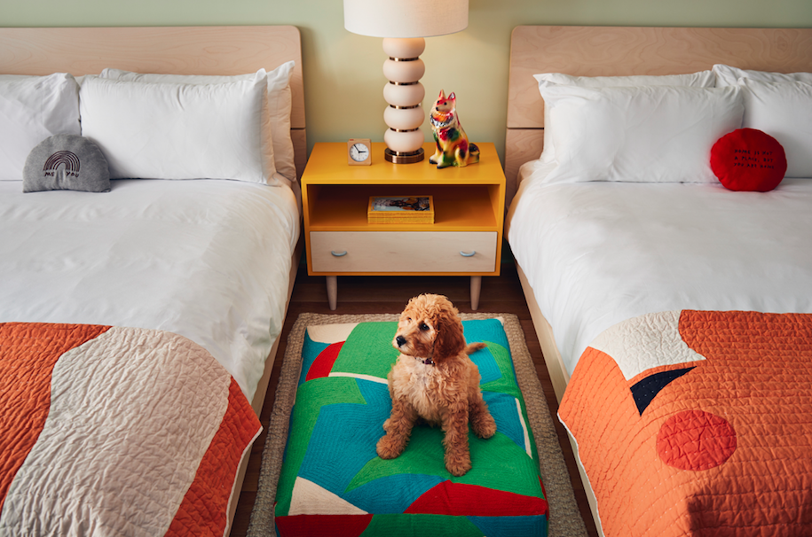 Motel room with two beds and dog on colourful rug