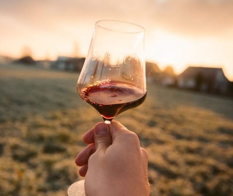 hand holding glass of red wine against sunset landscape