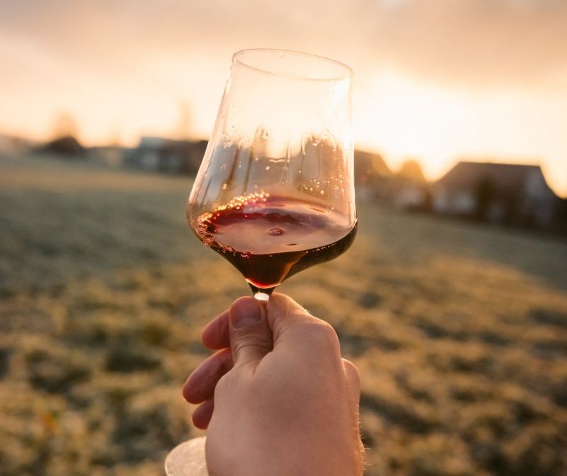 hand holding glass of red wine against sunset landscape