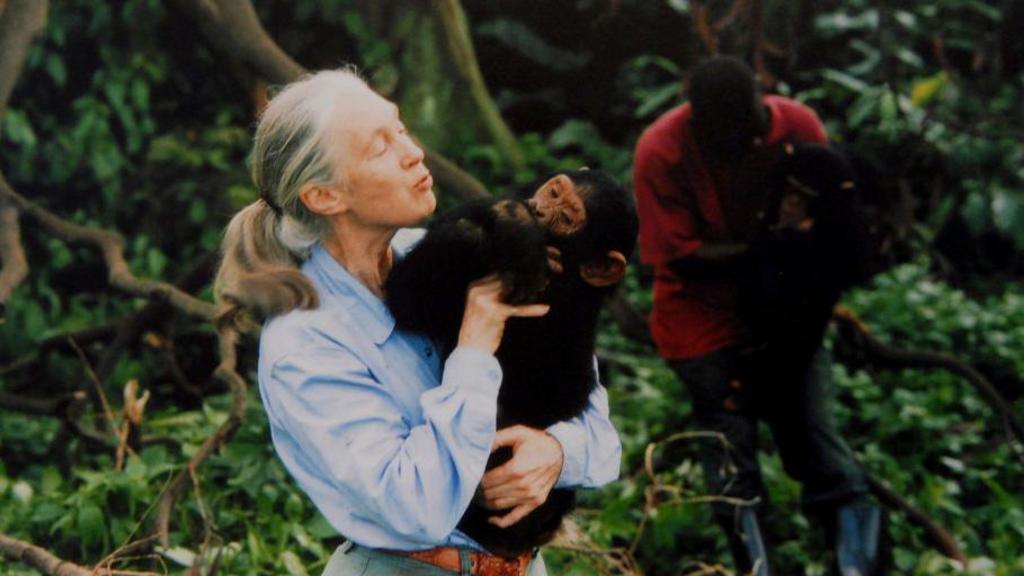Jane Goodall, Chimpanzee Pioneer, Dies at 91